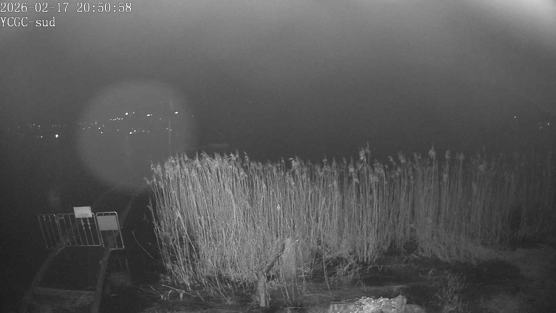 Vue Sud du lac de Paladru