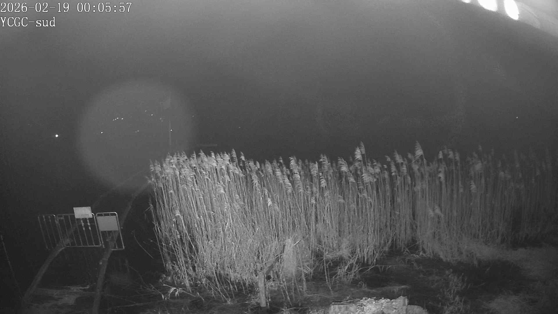 Vue Sud du lac de Paladru