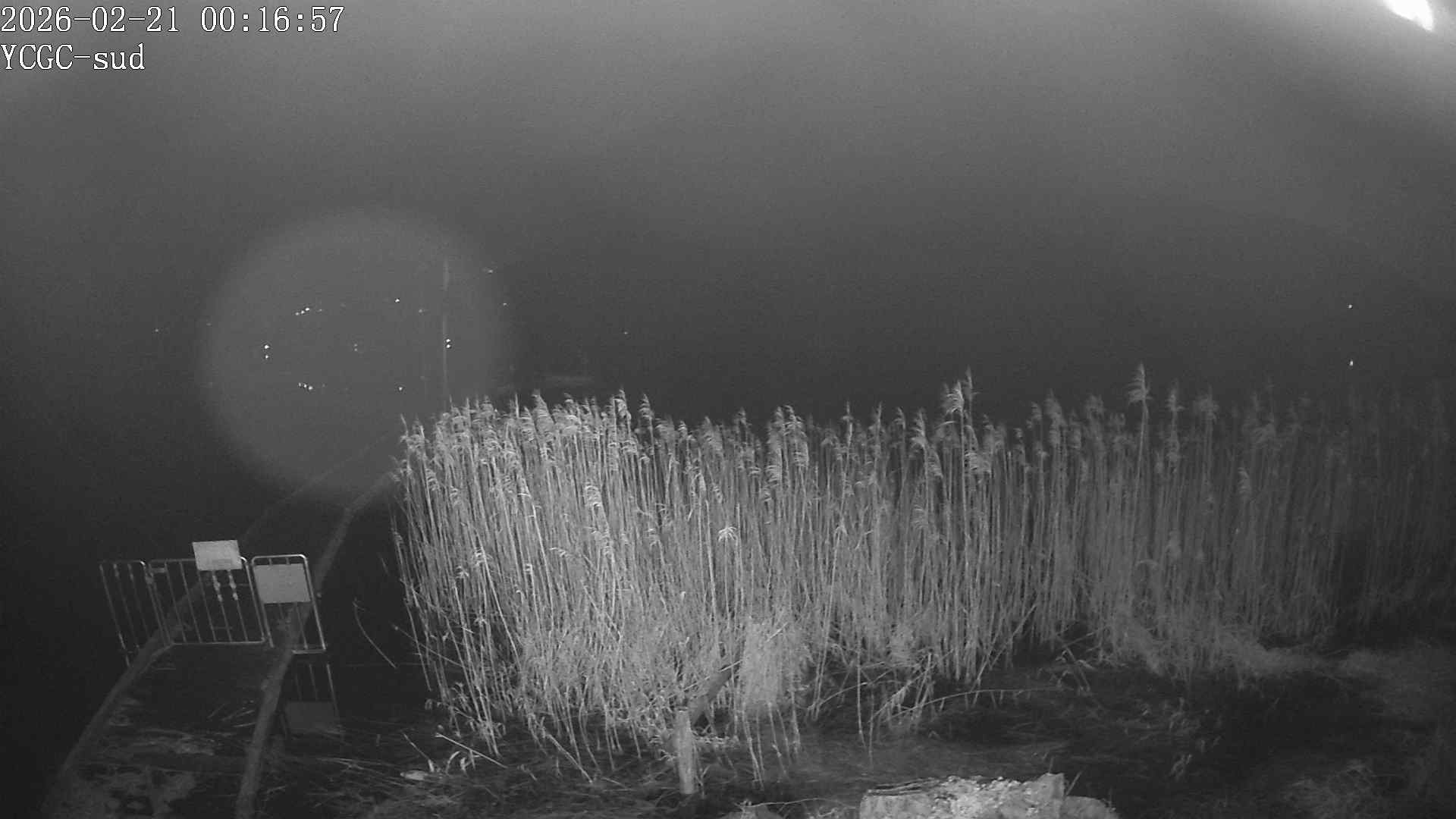 Vue Sud du lac de Paladru