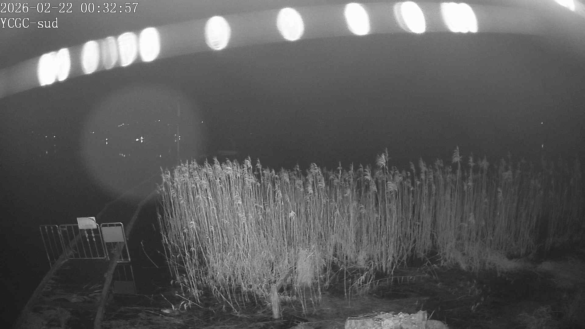 Vue Sud du lac de Paladru