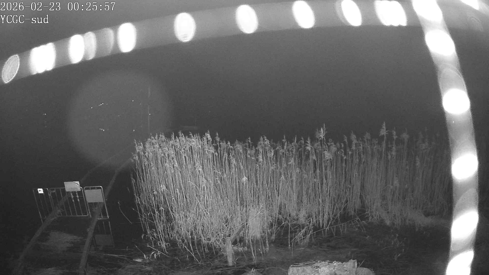 Vue Sud du lac de Paladru