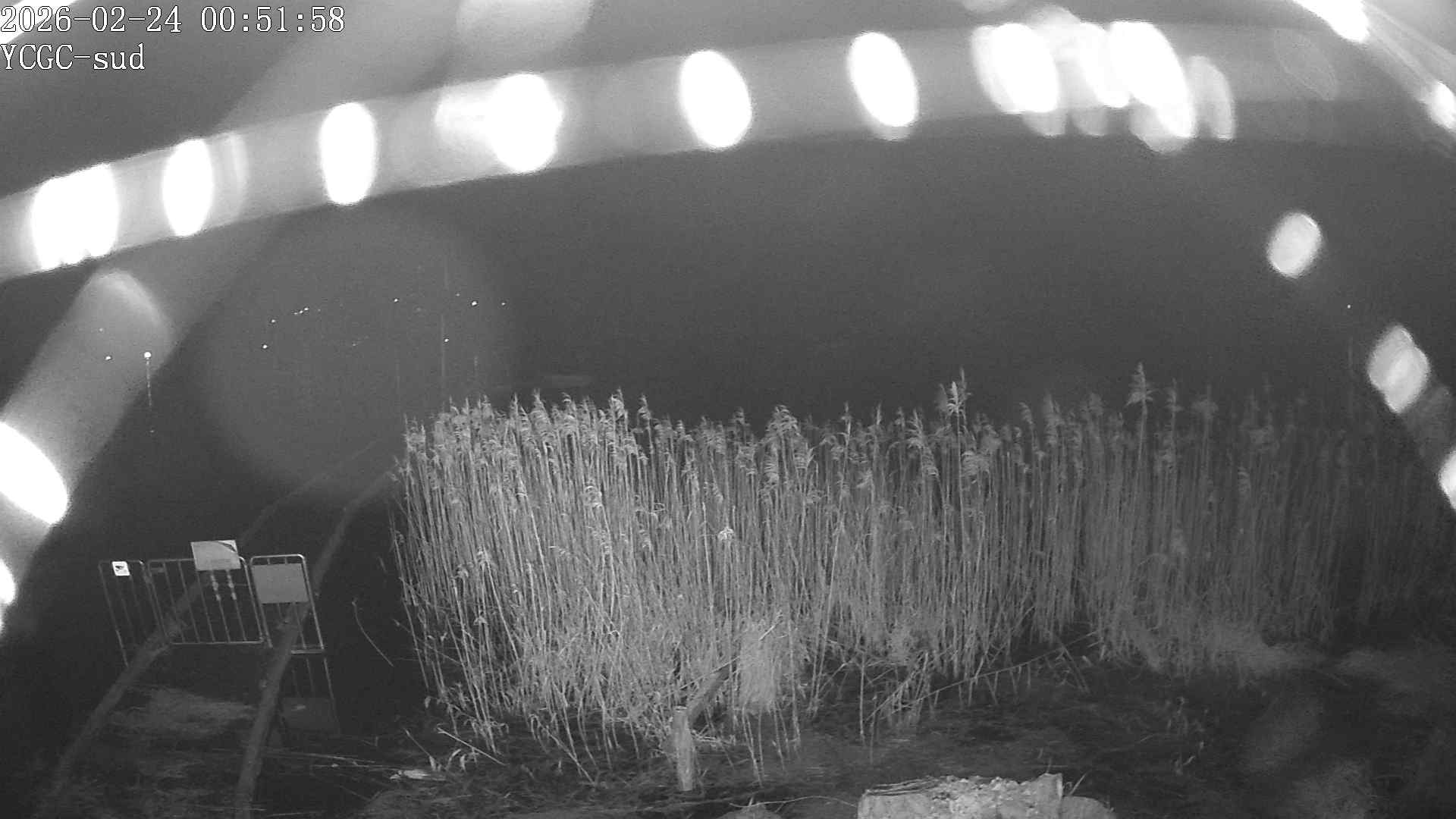 Vue Sud du lac de Paladru