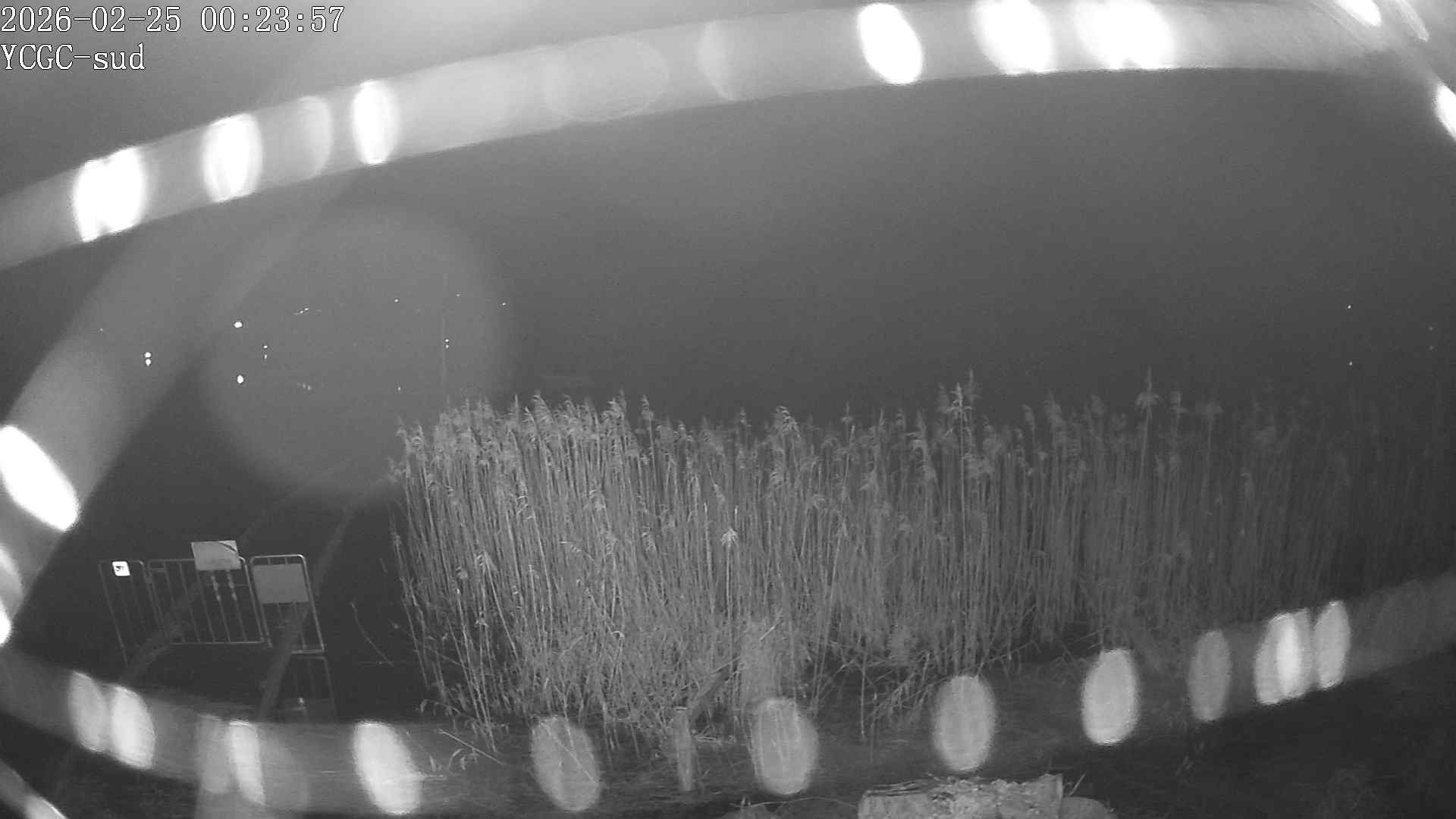 Vue Sud du lac de Paladru