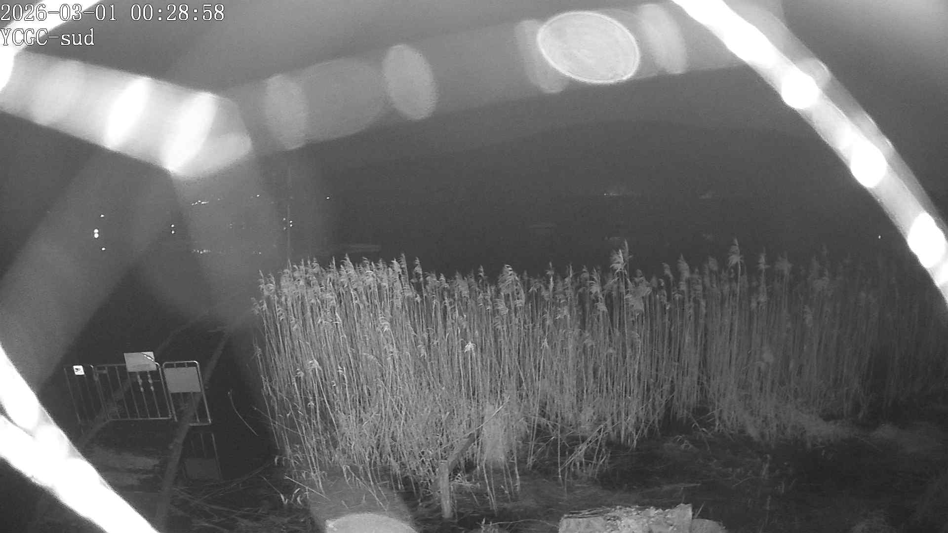 Vue Sud du lac de Paladru