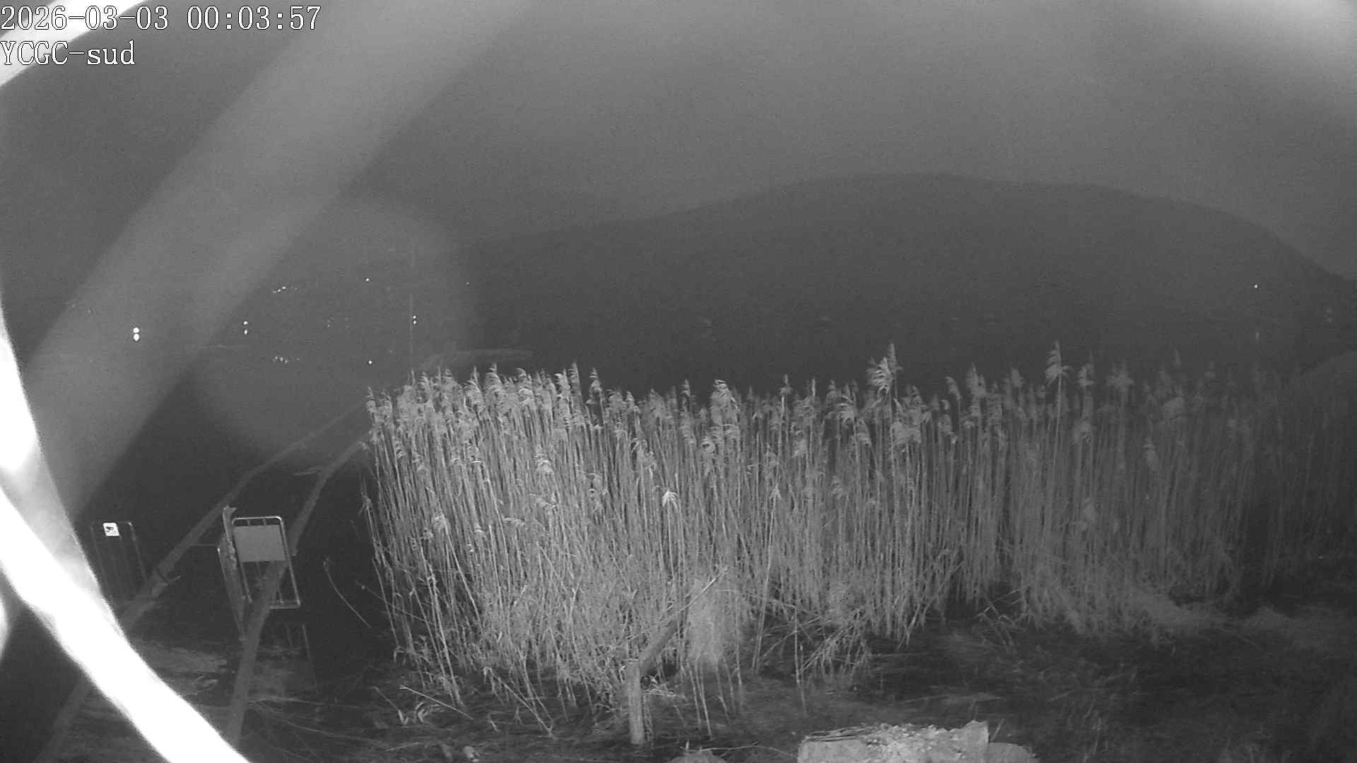 Vue Sud du lac de Paladru