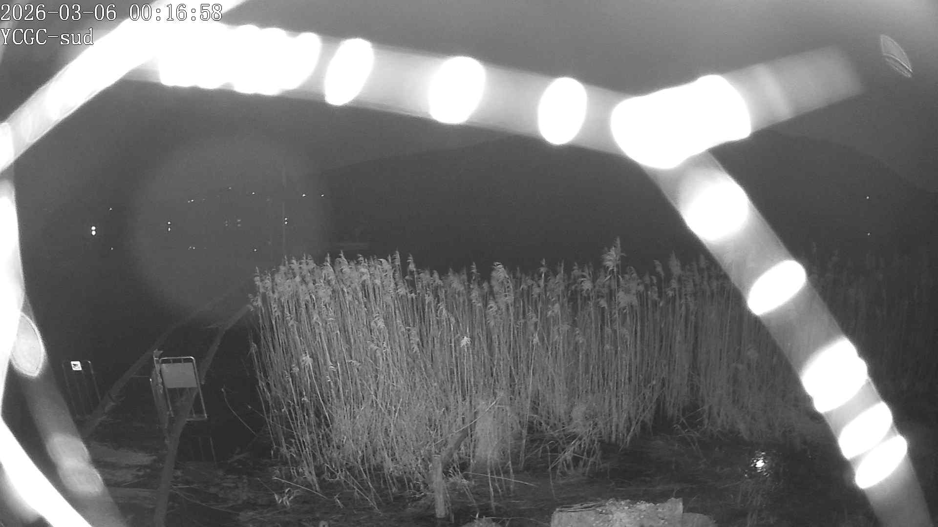 Vue Sud du lac de Paladru